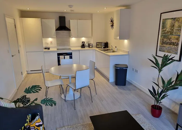 Luxe Two Bedroom Flat In Birmingham With Free Wifi